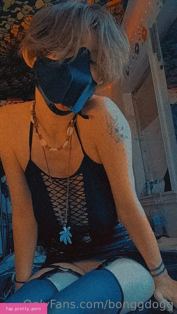 Bonggdogg - Photo #70