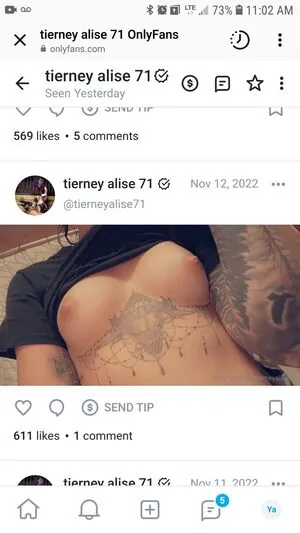 Barrel_racer71