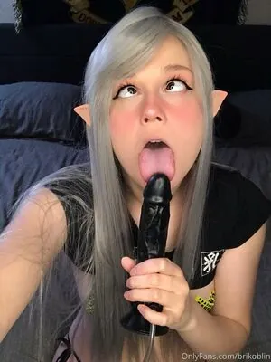 brikoblin