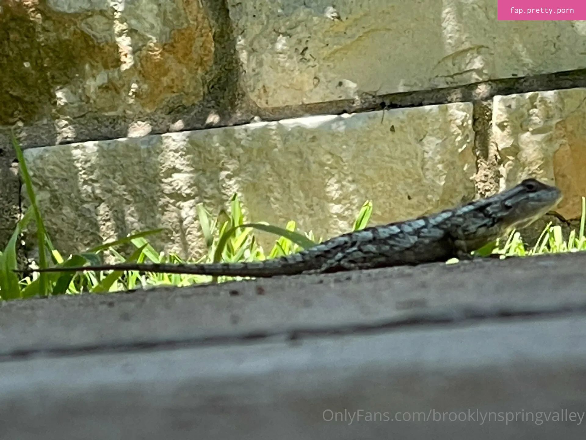Brooklynspringvalley - Photo #40