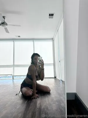 Brookliyn Wren