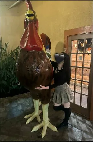 CottontailVA