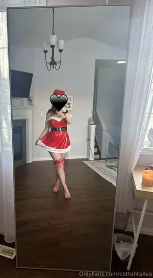 CottontailVA