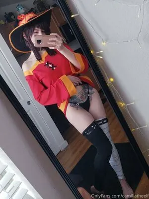 Camillatheelf