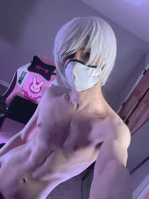 Catboiaoi