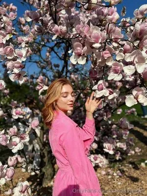 Cherry Blossom
