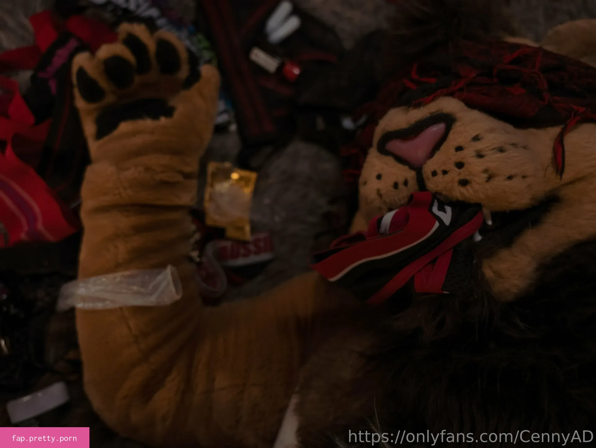 cennyad - Photo #49