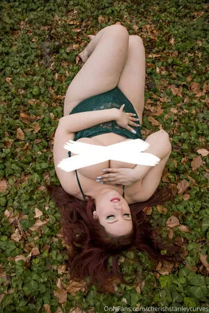 cheriestanleycurves