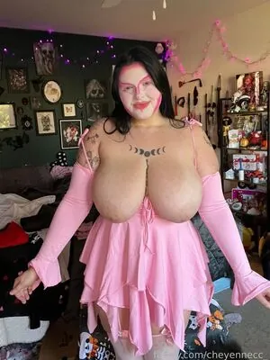 cheyennecc