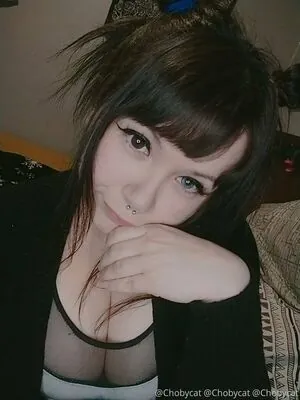 chobycat