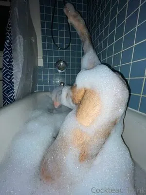 Cockteautwink