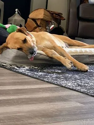 cocovandi
