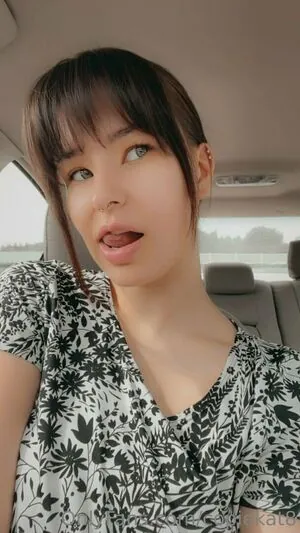 copiekat8