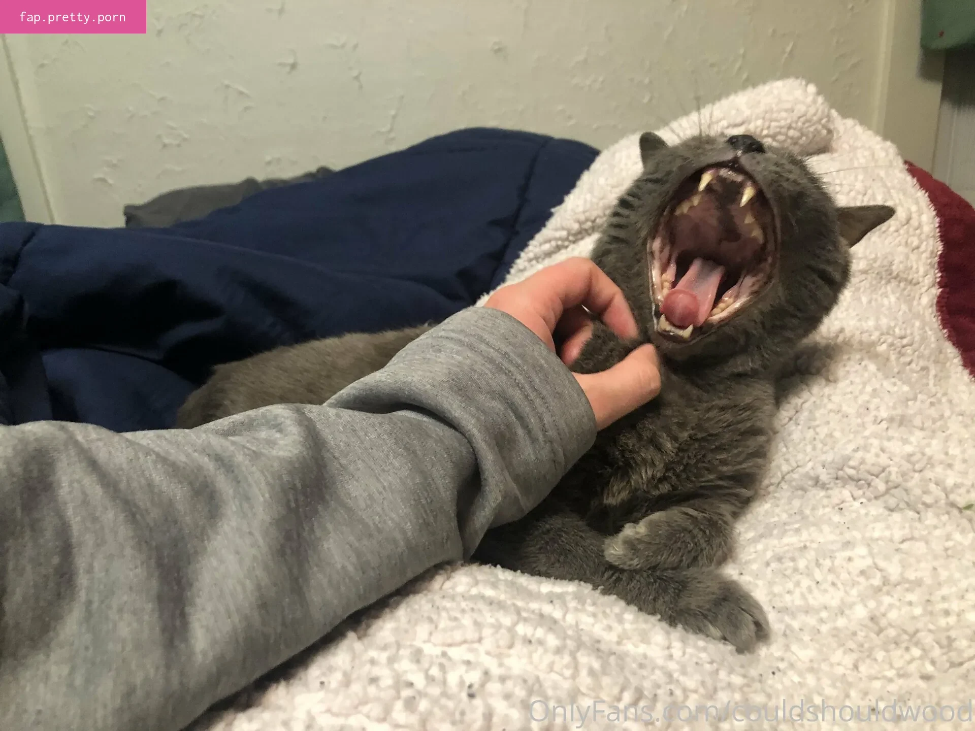 couldshouldwood - Photo #26