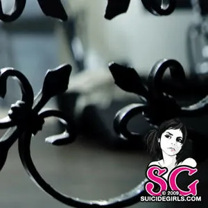 Charm SG