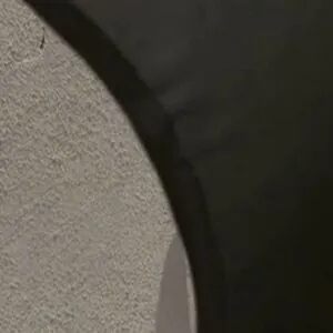 Cum Swallowing