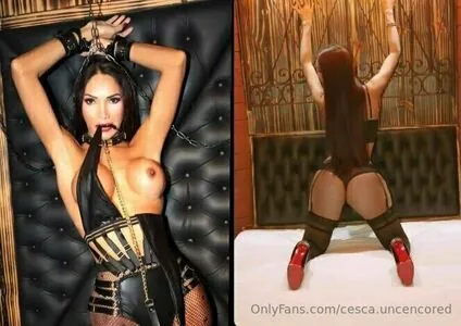 cesca.uncencored