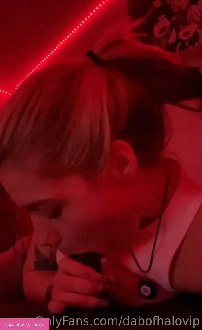 dabofhalovip - Photo #20