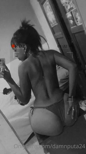 damnputa24