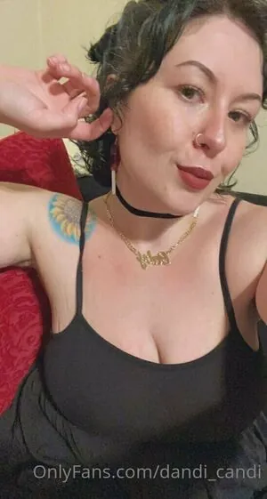 dandi_candi
