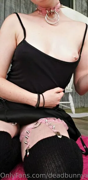 deadbunnyx
