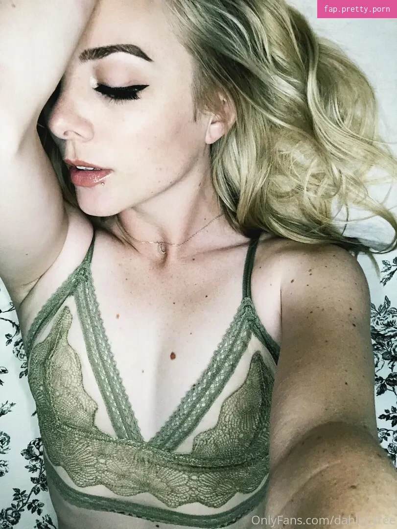 dahlia_free - Photo #04