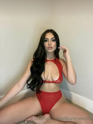 dianeneedles