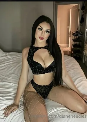 dianeneedles