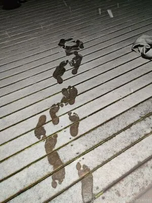 ditteslegsandfeet