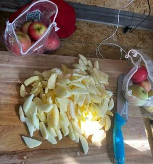diydes