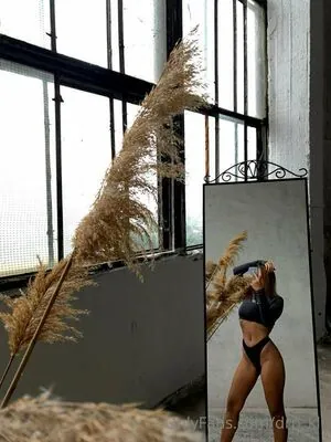 Di_muse