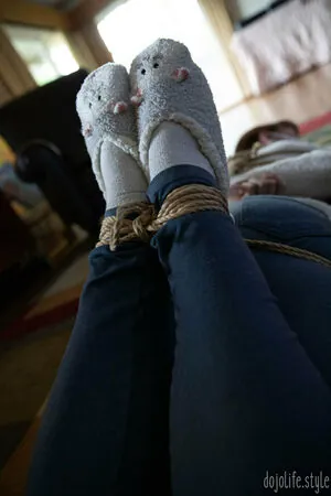 dojolifestyle