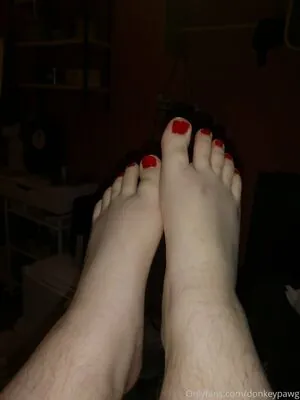 donkeypawg