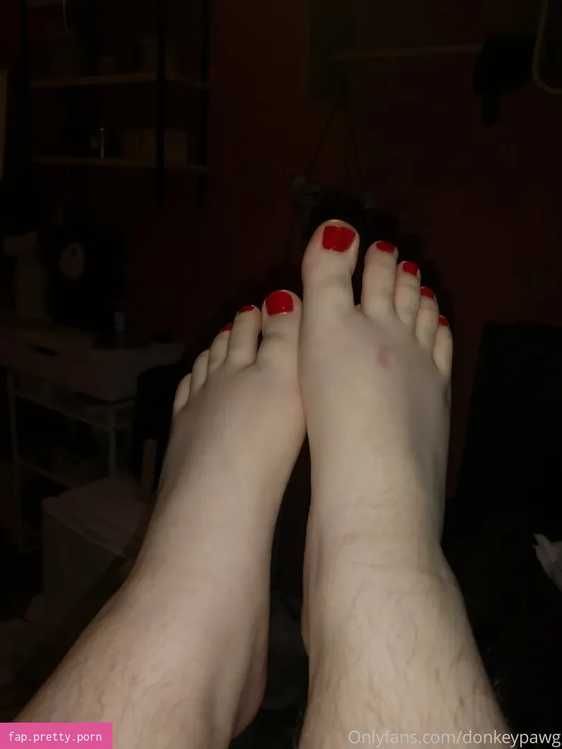 donkeypawg - Photo #07