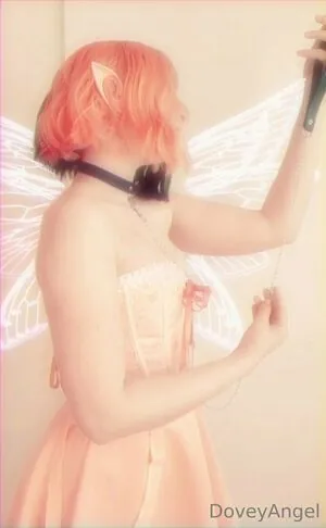 doveyangel