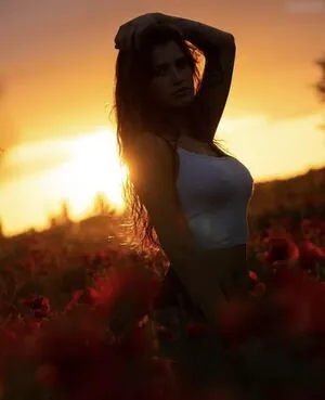 dominique_rwr