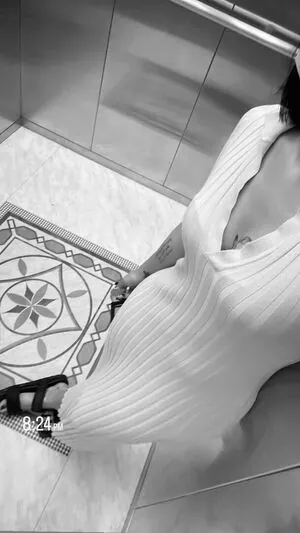 Diane Santiago Alua