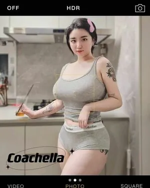 e_chi_h