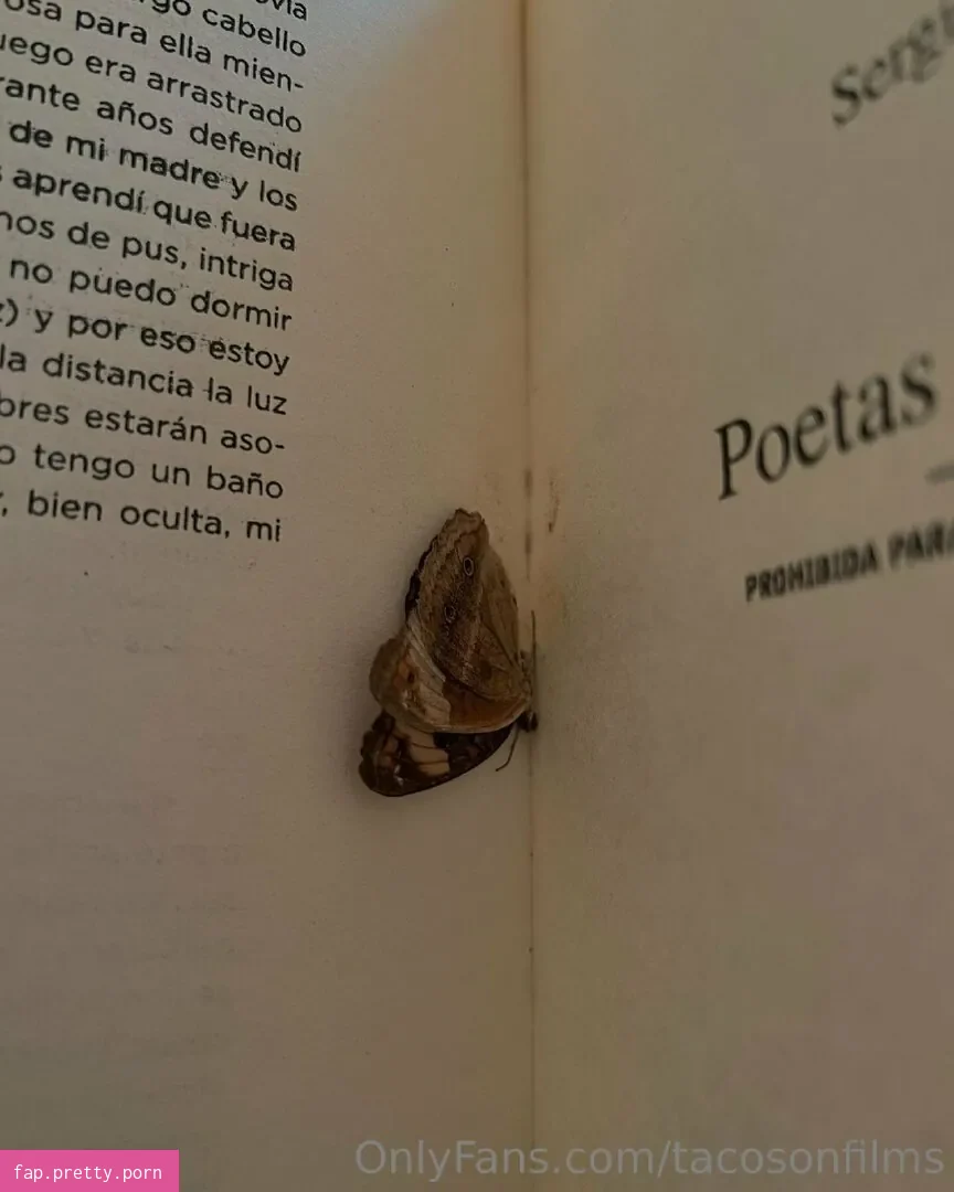 Ecstasy - Photo #23