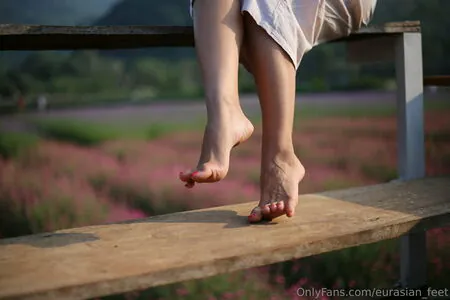 eurasian_feet