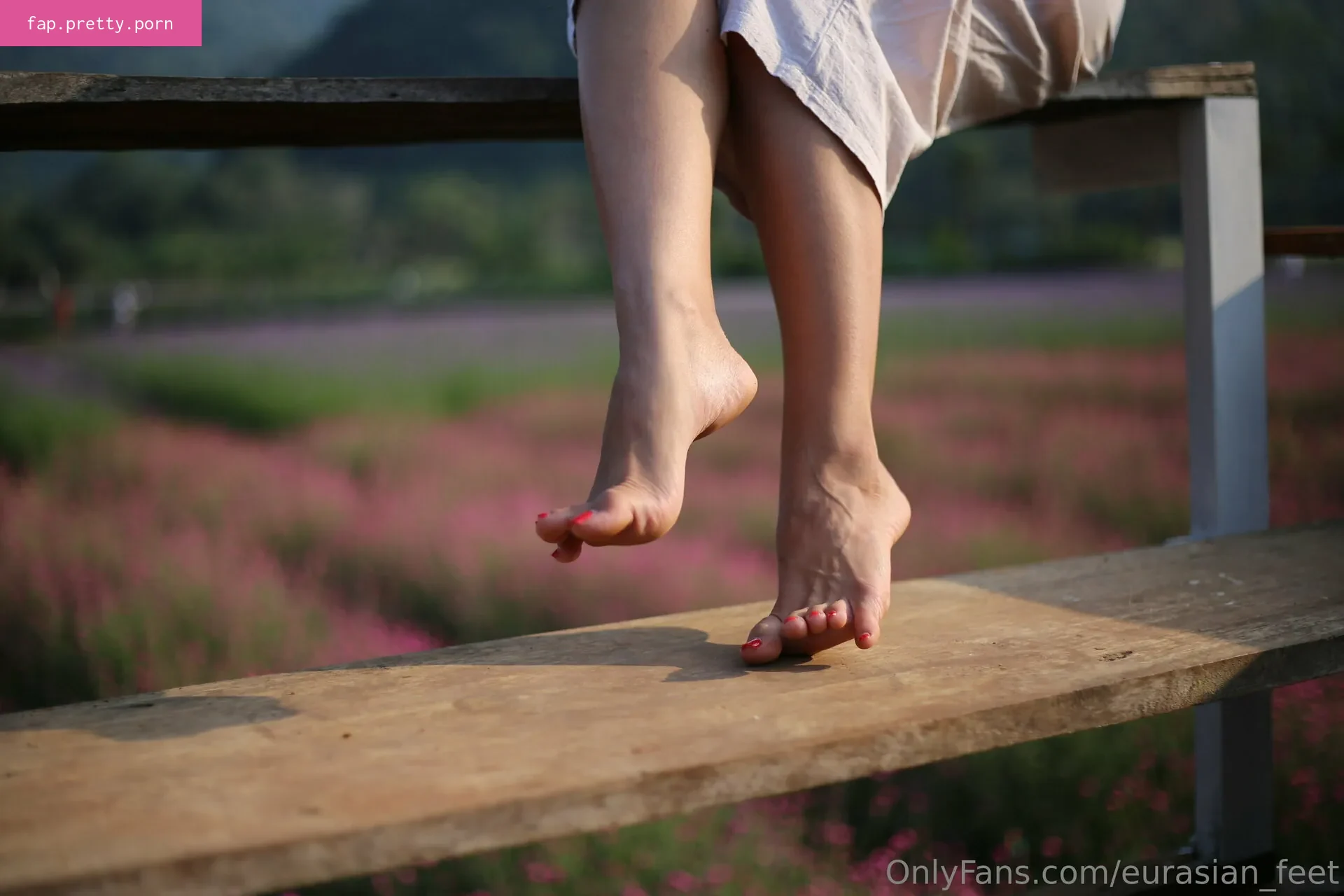eurasian_feet - Photo #00