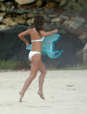 Elizabeth Hurley