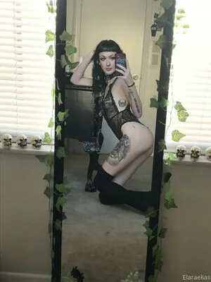 Elaraelias