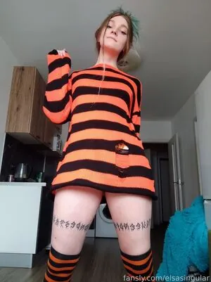 Elsasingular
