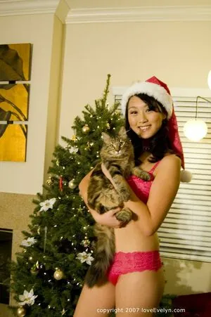 Evelyn Lin