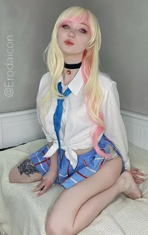 Erodaicon