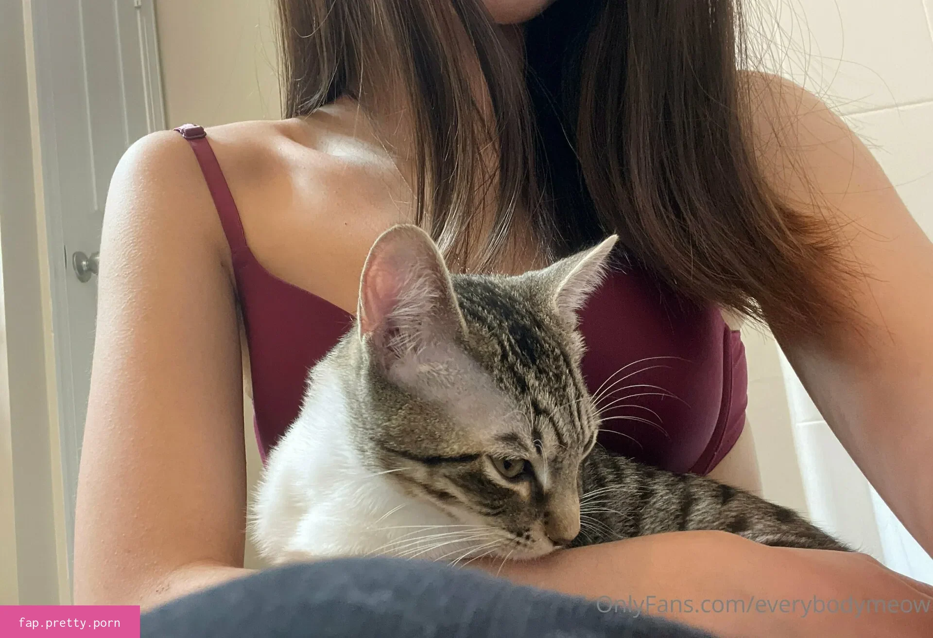 everybodymeow - Photo #03
