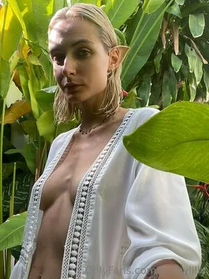 fairyylilly