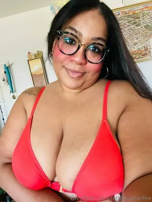 fatthousewifee