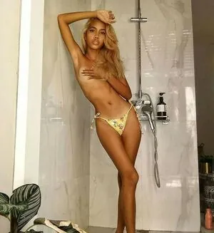 Fauutami